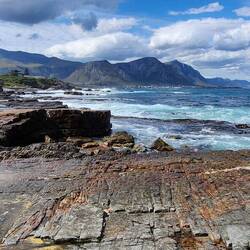 on our way to the table