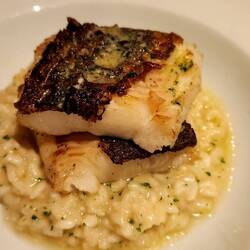 Halibut and Risotto
