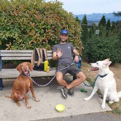 Auf den Schreck erstmal wieder was zum Lächeln. Unser 1. Hundesit in Kanada.