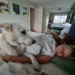 Good morning in the morning