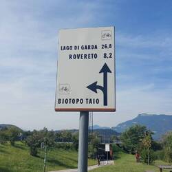 ....die letzten Kilometer