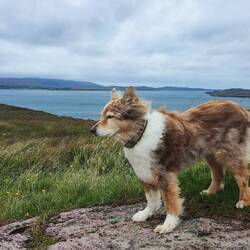 Nila liebt den Wind