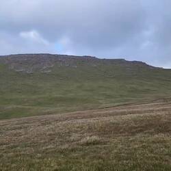 We think this was a great skua, that buzzed us many times 🙃