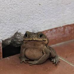 Sieht fast schon süß aus 🫣😄