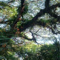 Mitten im Dschungel 😍