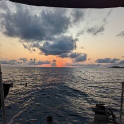 Brilliant dawn