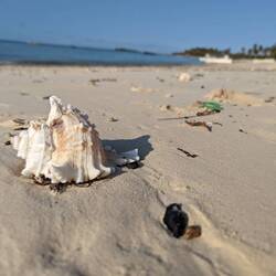 Take nothing but memories... As tempting as it is to load up on amazing seashells