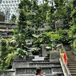 The Jewel in Singapore Airport