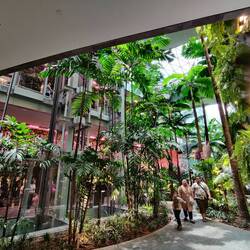 The Jewel in Singapore Airport