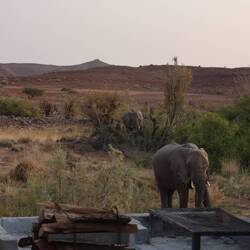 Er will sein Gras zu Heu grillen kommen