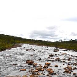 unser Fluss im Wohnzimmer
