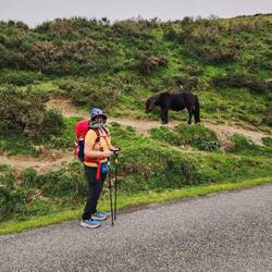 Just me and a horse crossing the road.