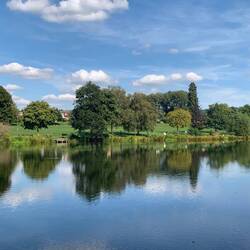 Beautiful reflections