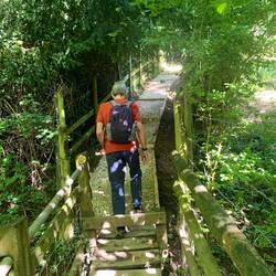 Bridges along the way