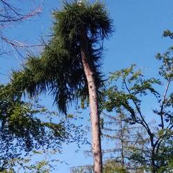 Irgendwie elegant, finde ich.