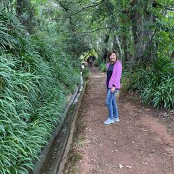 50 minutes hike after sunrise at Levada Day Serra Do Faial