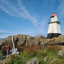 Skelett von Wal Schädel