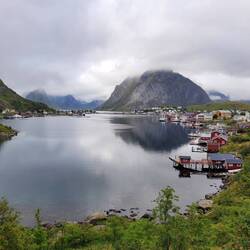 Reine