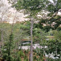 View from the cottage