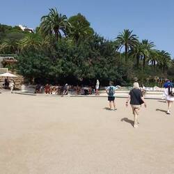 Sharing the view with a few friends