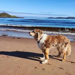 oder am Strand zu spazieren