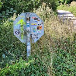 The yellow arrows can be anywhere.