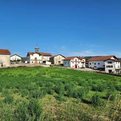 This is most of the town of Viscarret.