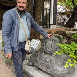 Au temple, Eric a trouvé une tortue 🐢
