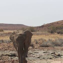 Er ist angepisst, denn jemand hat ihn fett genannt... er hat schwere Knochen...