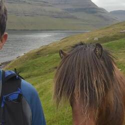 Wasn't sure how friendly he was going to be following so closely 🙃