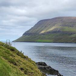 Fences all the way down to the waterline 👇🐑🐏