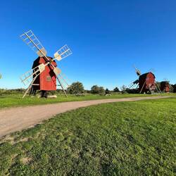 Bockwindmühlen in Gardslösa im frühen Abendlicht