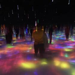 A colorful fish pond. If a digital fish bumps into you it turns into flowers