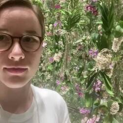 Those are real flowers. As you move beneath them the will gently make space and move up.