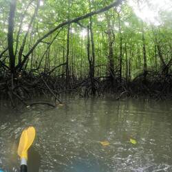 Kilim Karst Geoforest Park