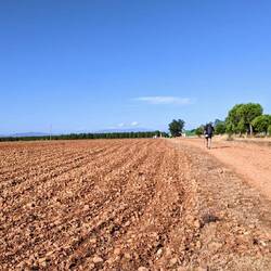 An oasis in the distance