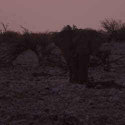 Das rote Licht des Sonnenuntergangs