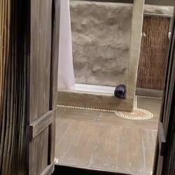 Blick ins Bad und Schlafzelt