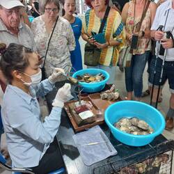 Zucht Fremdkörper wird eingelegt