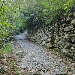 Stone path went up and up and up to the castle on the hill
