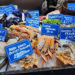 Ha Ha, we have is good in Australia. Tiger prawns at A$120/kg