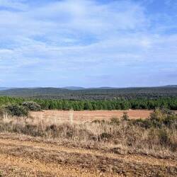 Getting up into the hills today