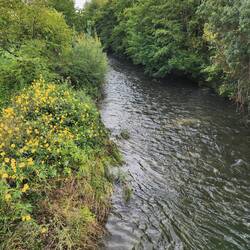Part of the trail was alongside a river.