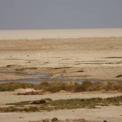 Springen ist nicht für alle so leicht