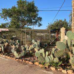 Cabo de Gata Camper site