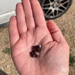 Almandine from crater del Hoyazo