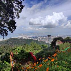 View from Penang Hill