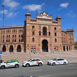 Plaza de Toros - Bull fighting