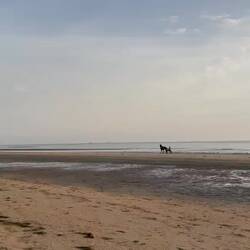 Morgenstimmung am Utah Beach