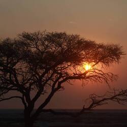 Sonnenaufgang